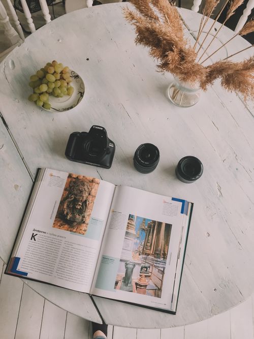 Free Top view of opened book placed near lenses of photo camera with plate of grapes and vase with dry branches in vase Stock Photo