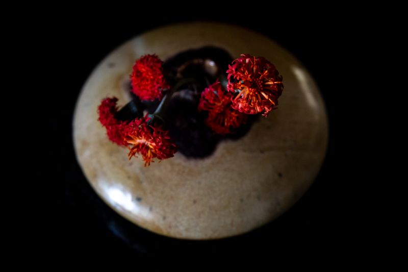 A striking display of red flowers in a minimalist vase against a dark background. — Magda Ehlers on Pexels