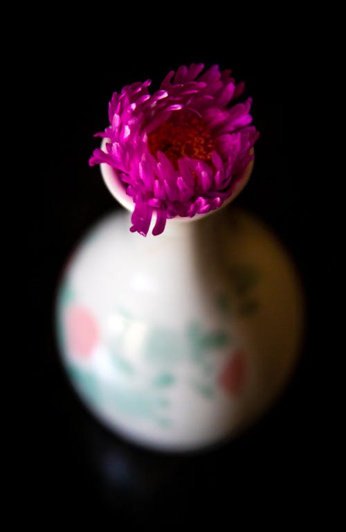 Pink Flower in a Ceramic Vase