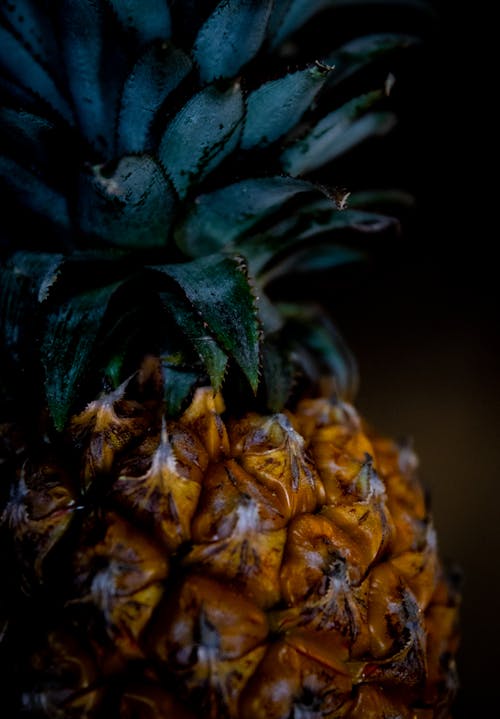 Gratis stockfoto met ananas, detailopname, eten