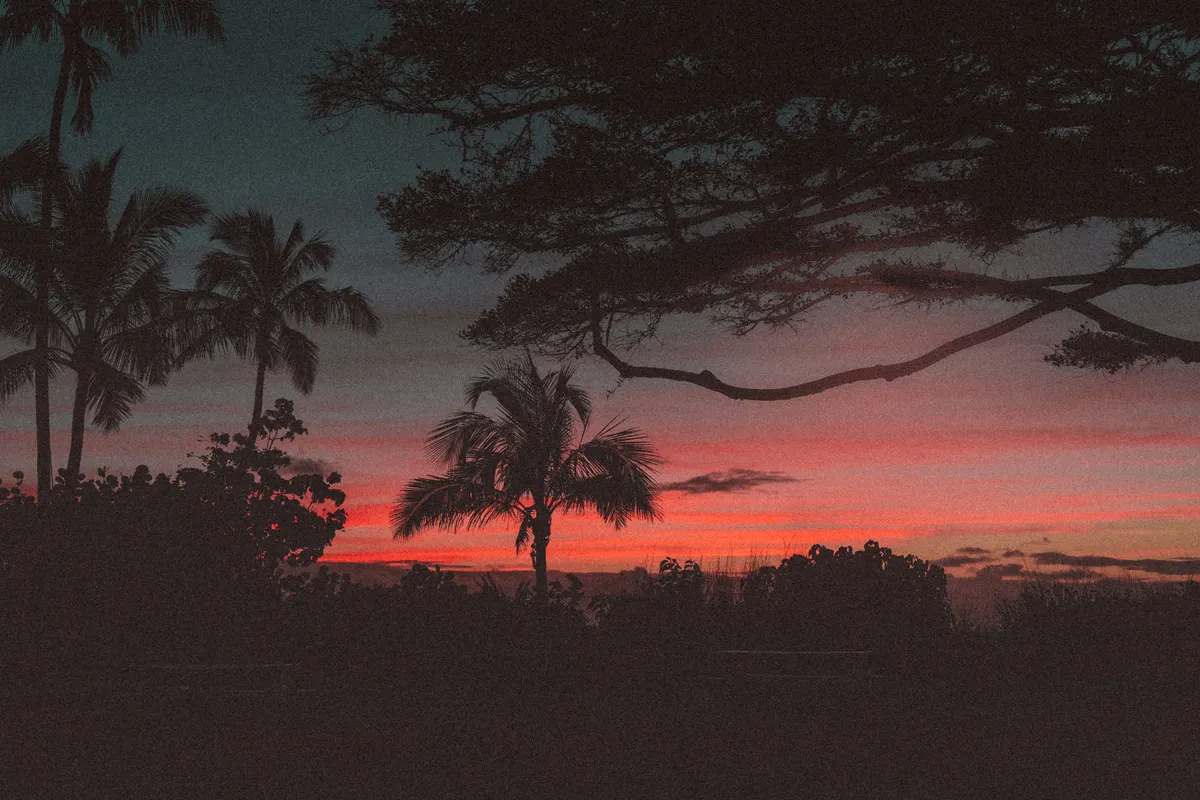A vivid Hawaiian sunset framed by palm trees on the Oahu coast