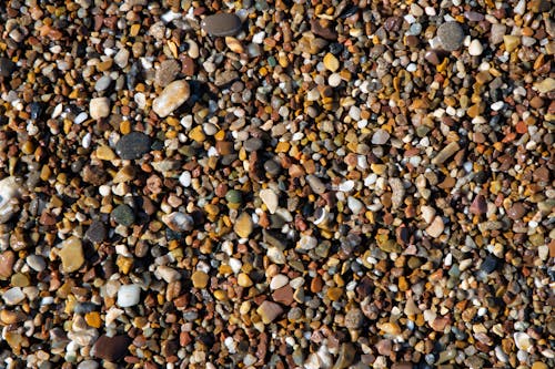 Multicolored Pebble Stones Photo