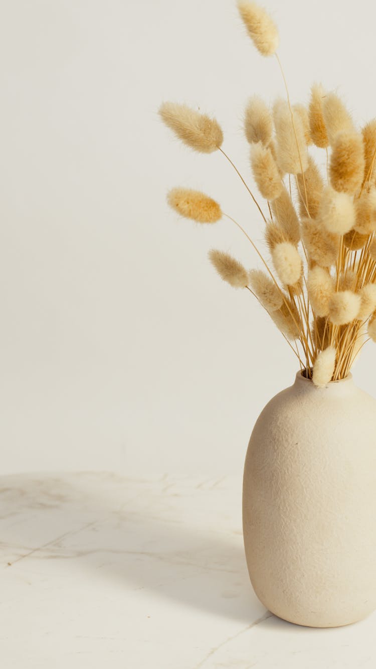 Vase With Dried Plants Minimal Decoration