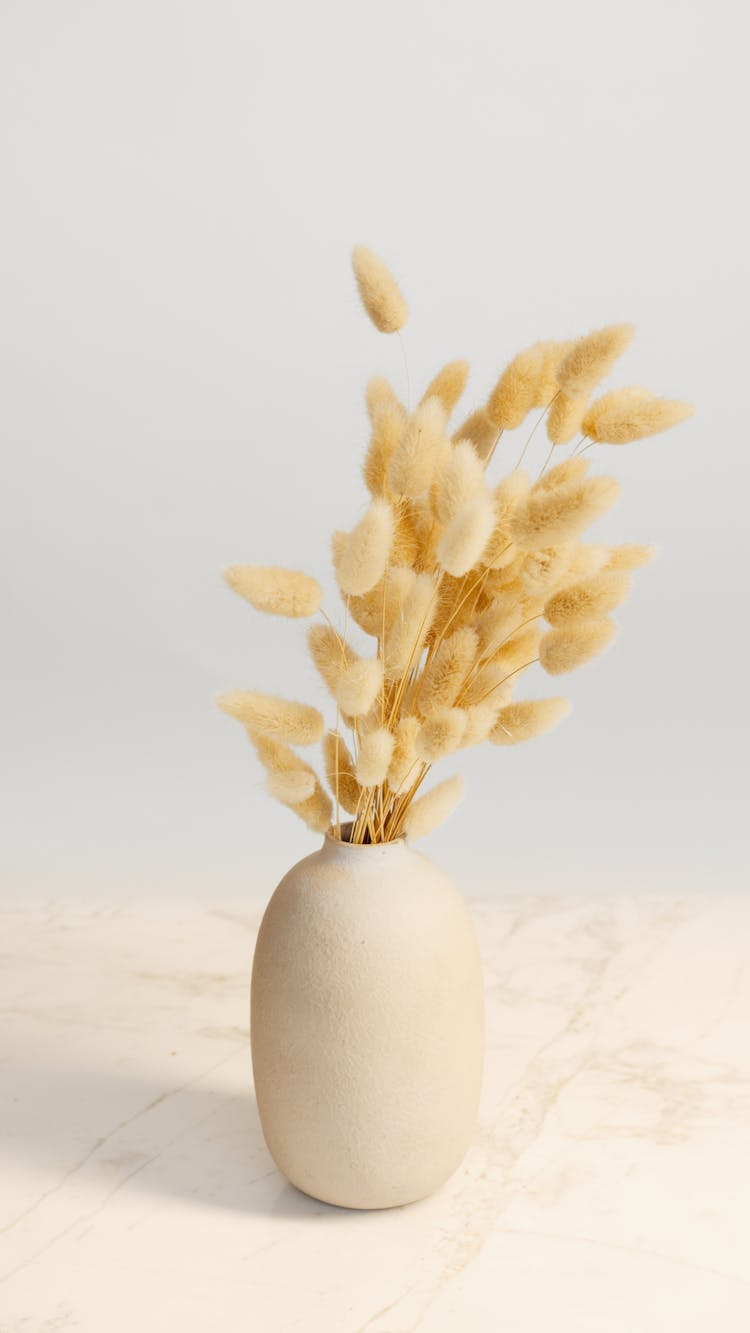 Dried Flowers In White Ceramic Vase