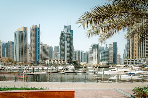 Free Panorama of Marina in City of Dubai Stock Photo