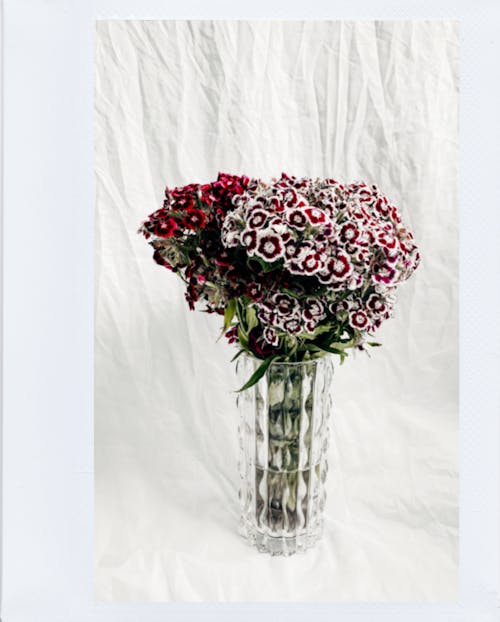 Бесплатное стоковое фото с букет, вертикальный выстрел, стеклянная ваза