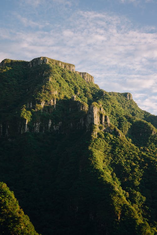 Green Trees on Mountain Under White Clouds