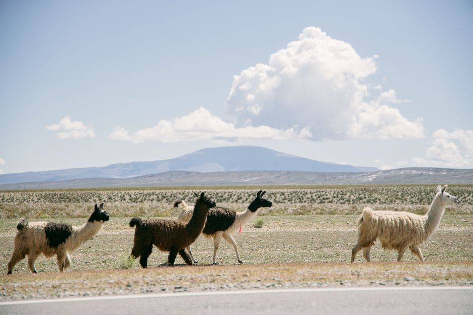 Otra foto de Antofagasta
