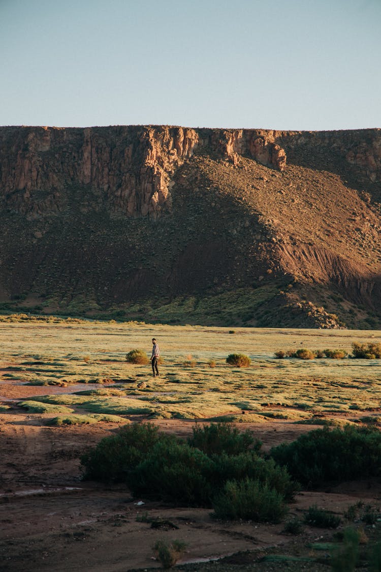 Person Walking On Green Grass Field Near A Mountain