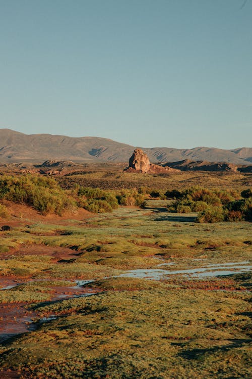 Foto profissional grátis de campo de grama, cenário, ecológico