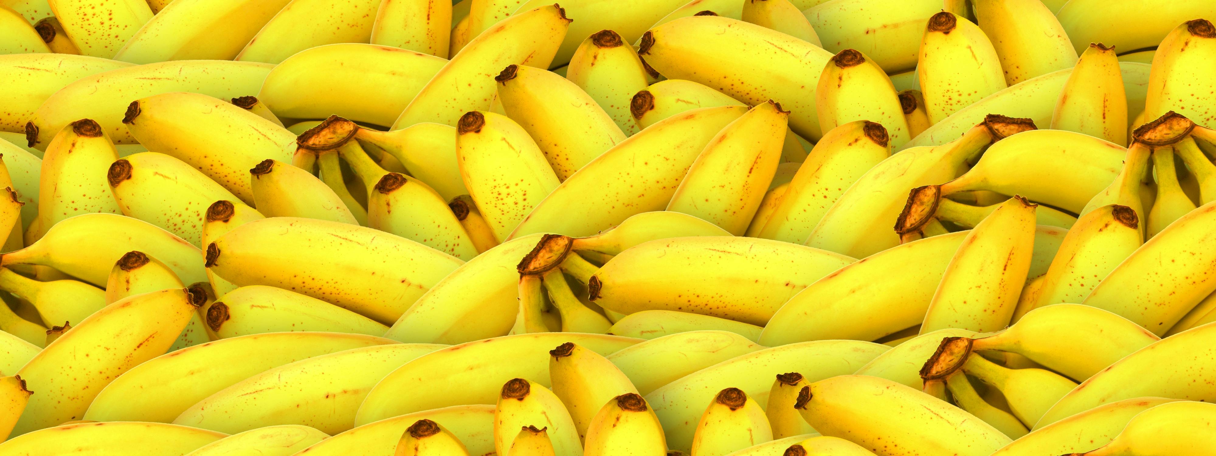 Free stock photo of ba...
