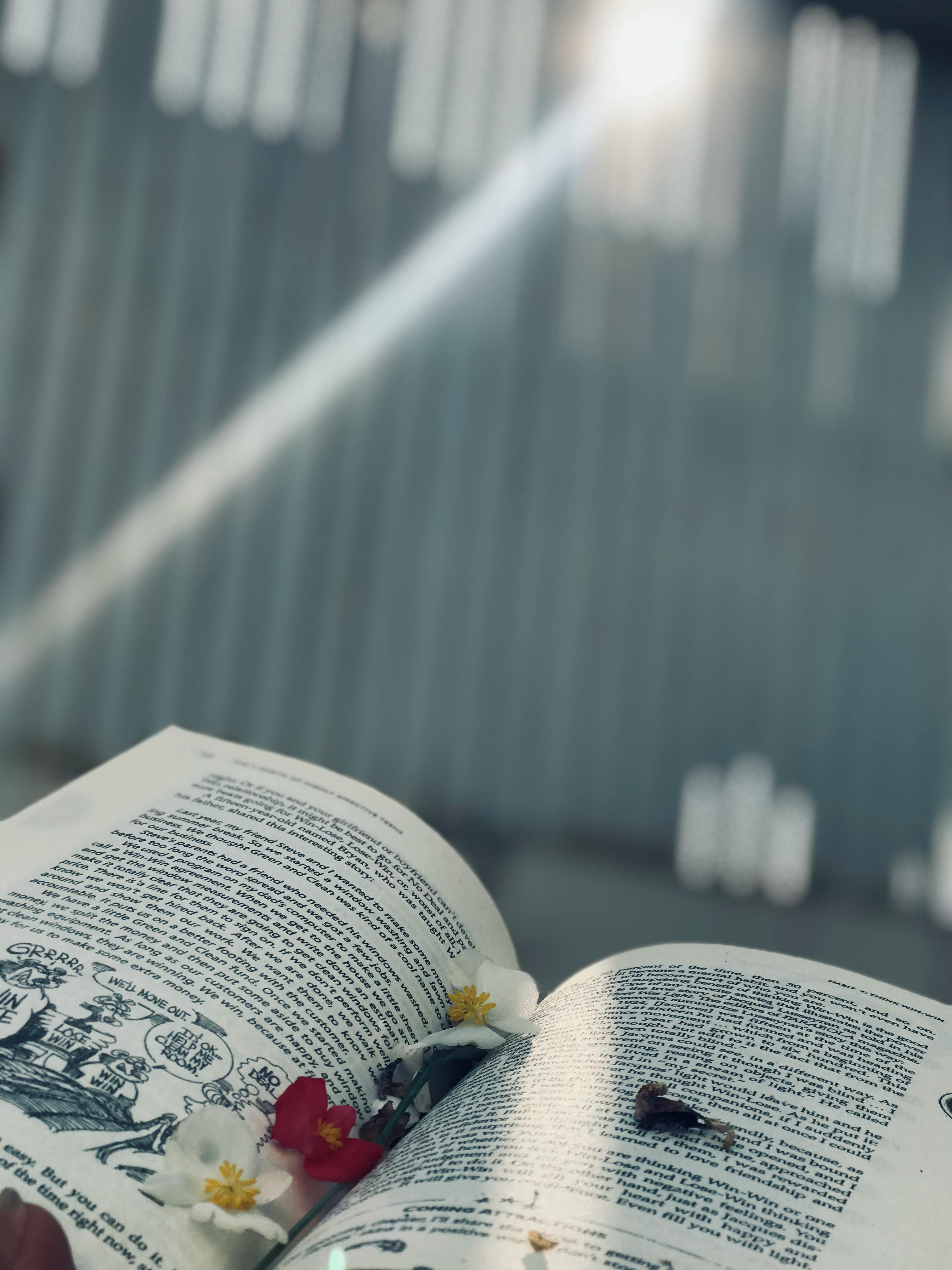 Jak jest po angielsku truskawka - strawberry