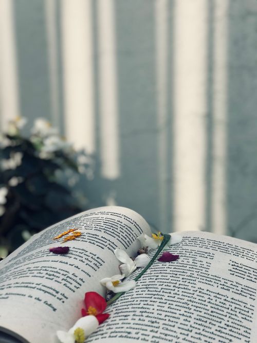 Free Open textbook with bright floral bookmark between pages near wall illuminated by sunlight in apartment Stock Photo