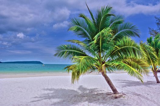 Serene tropical beach in Cambodia featuring lush palm trees and white sand.
