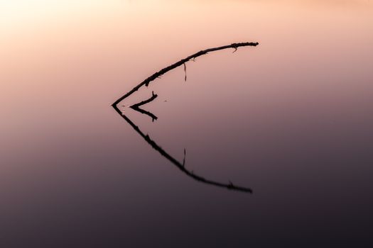 A tranquil scene capturing a lone branch reflecting on still water at sunrise.