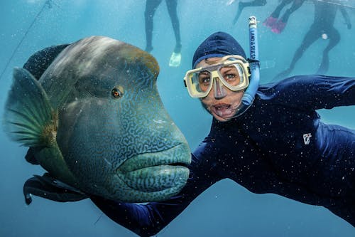 Content female traveler in diving suit and goggles embracing exotic fish while swimming under pure water and looking at camera