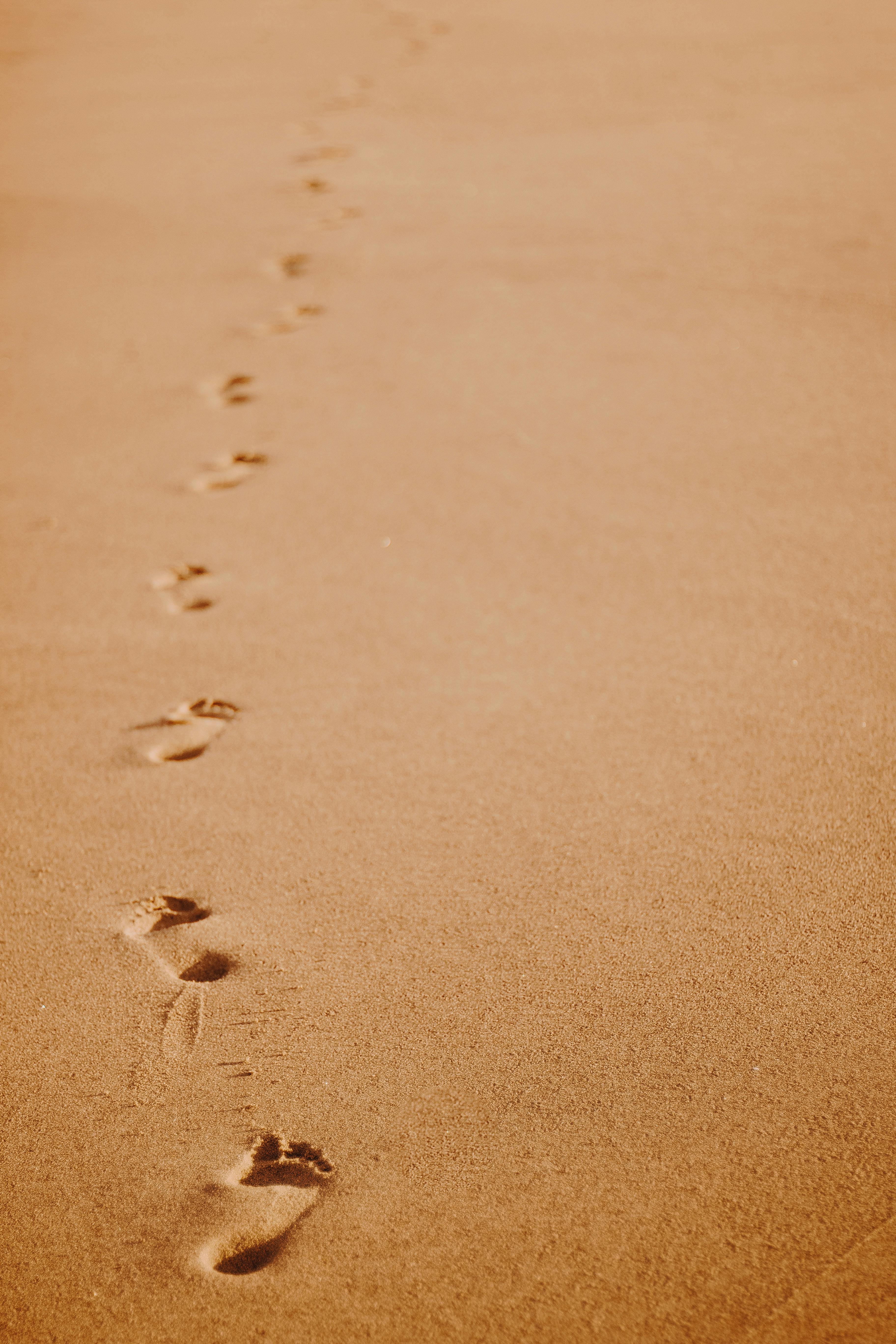 30 000 Best Footprints In The Sand Photos 100 Free Download Pexels Stock Photos