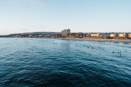 Free From above of birds swimming on rippled sea near coastal city with buildings under sky Stock Photo