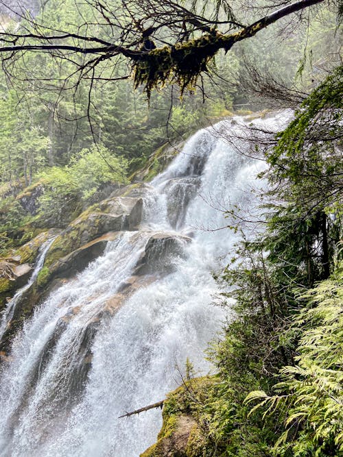 Picturesque view of rapid cascade with foamy water flow in mounts with trees and grass