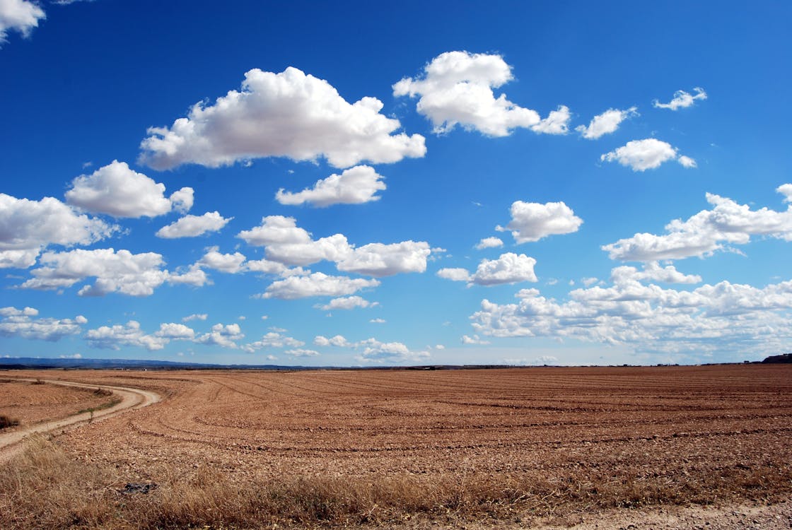 Brown Field and Blue Sky · Free Stock Photo