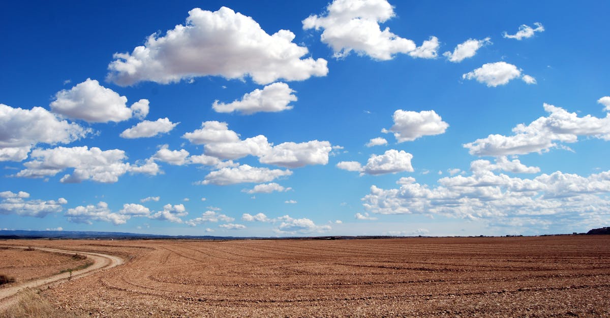 Brown Field and Blue Sky · Free Stock Photo