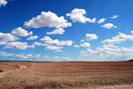 Plain Images