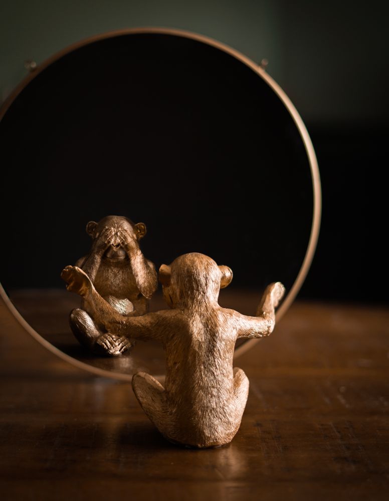 Imitation Photos, Download The BEST Free Imitation Stock Photos & HD Images