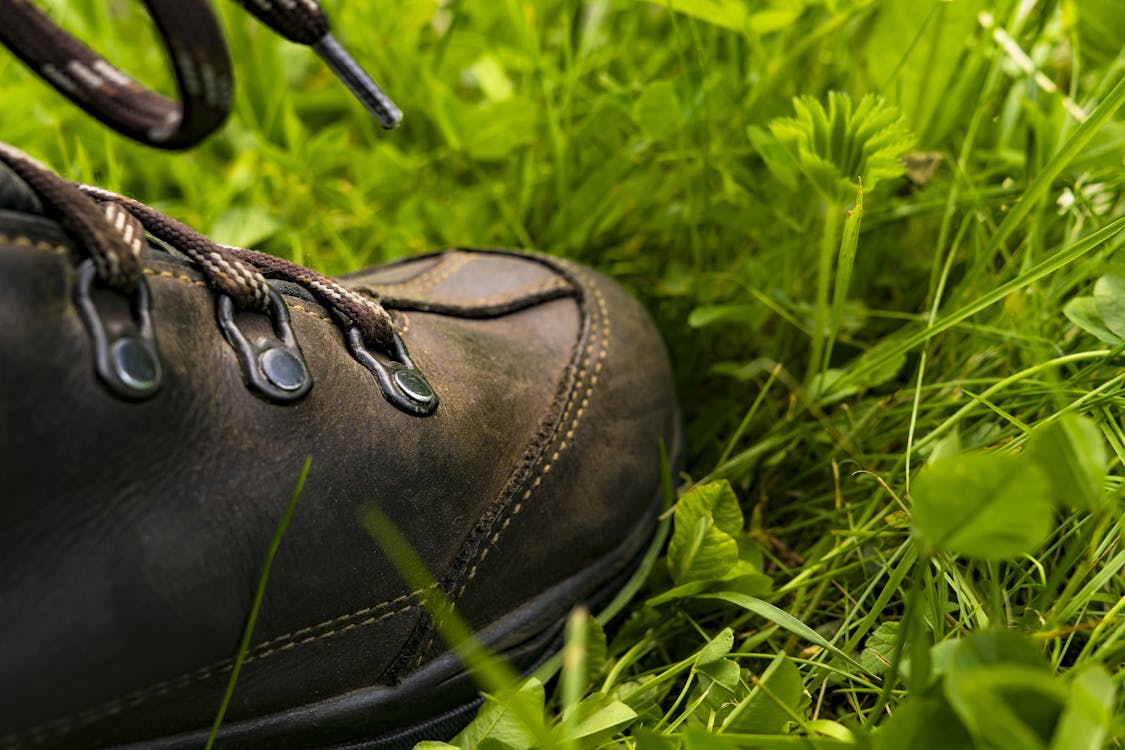 Free Black Leather Shoe on the Grass Stock Photo