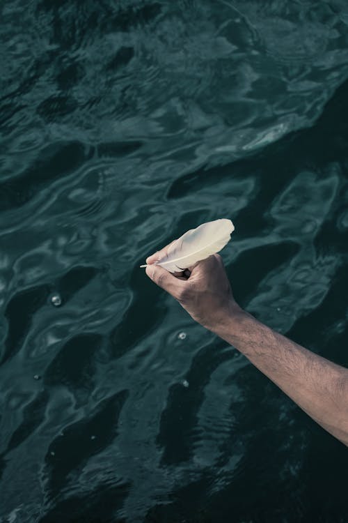 A Person Holding a White Feather