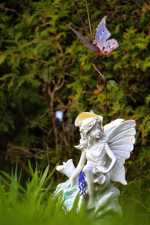 Základová fotografie zdarma na téma barevný, botanický, dekor