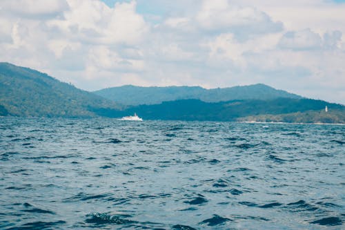 Scenery view of rippled ocean with ship near ridge with forest under sky