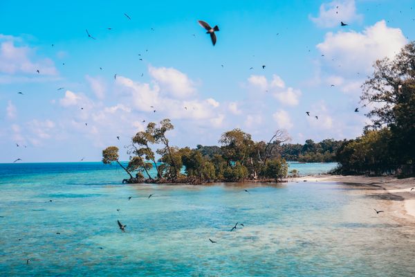 Andaman Tour Package | Havelock, Neil Island & Port Blair - Activity & Sightseeing