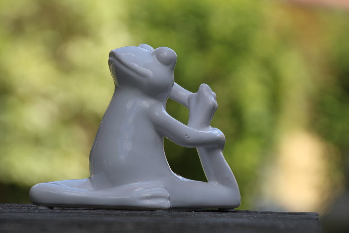 Kostenloses Foto Zum Thema Frosch Gymnastik Yoga