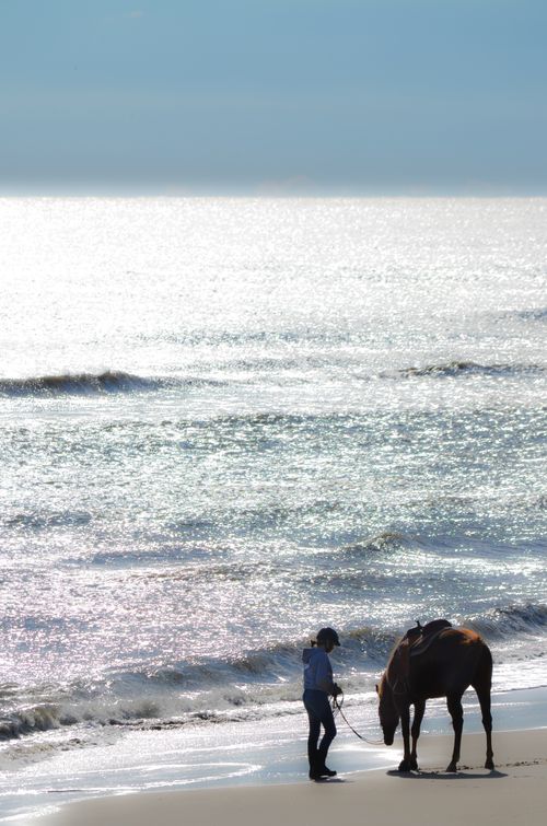 Free stock photo of love Stock Photo