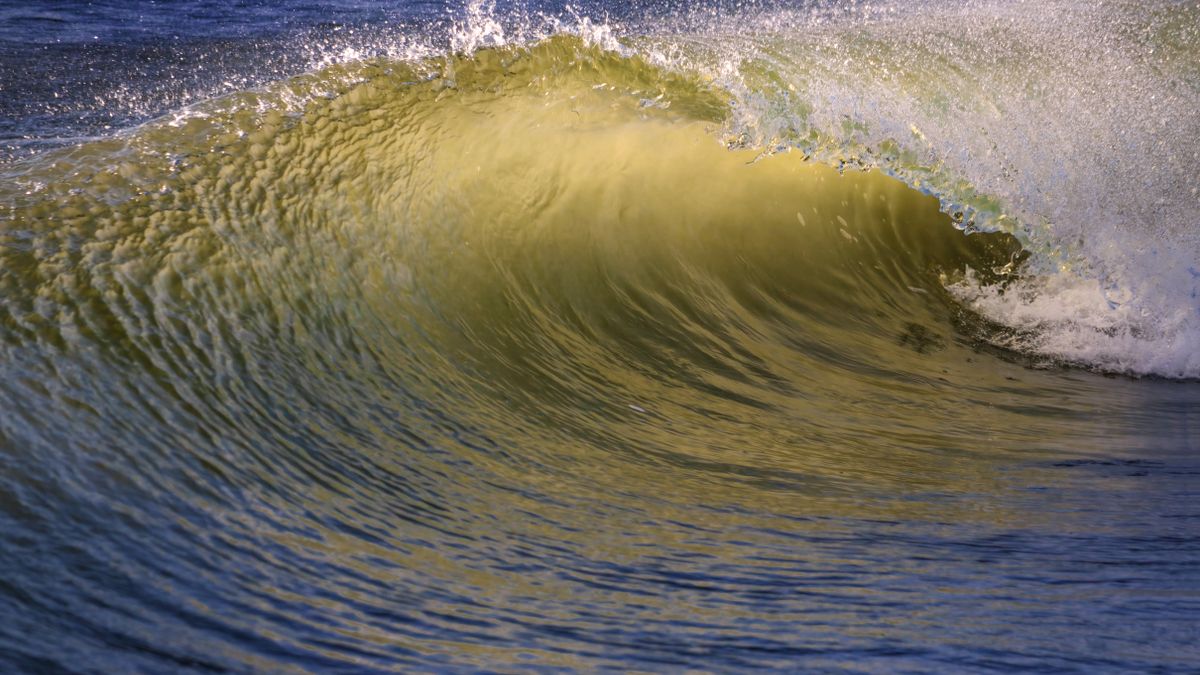 Virginia Beach, VA Birthday Freebies Near Me: Where to Find Legit Deals