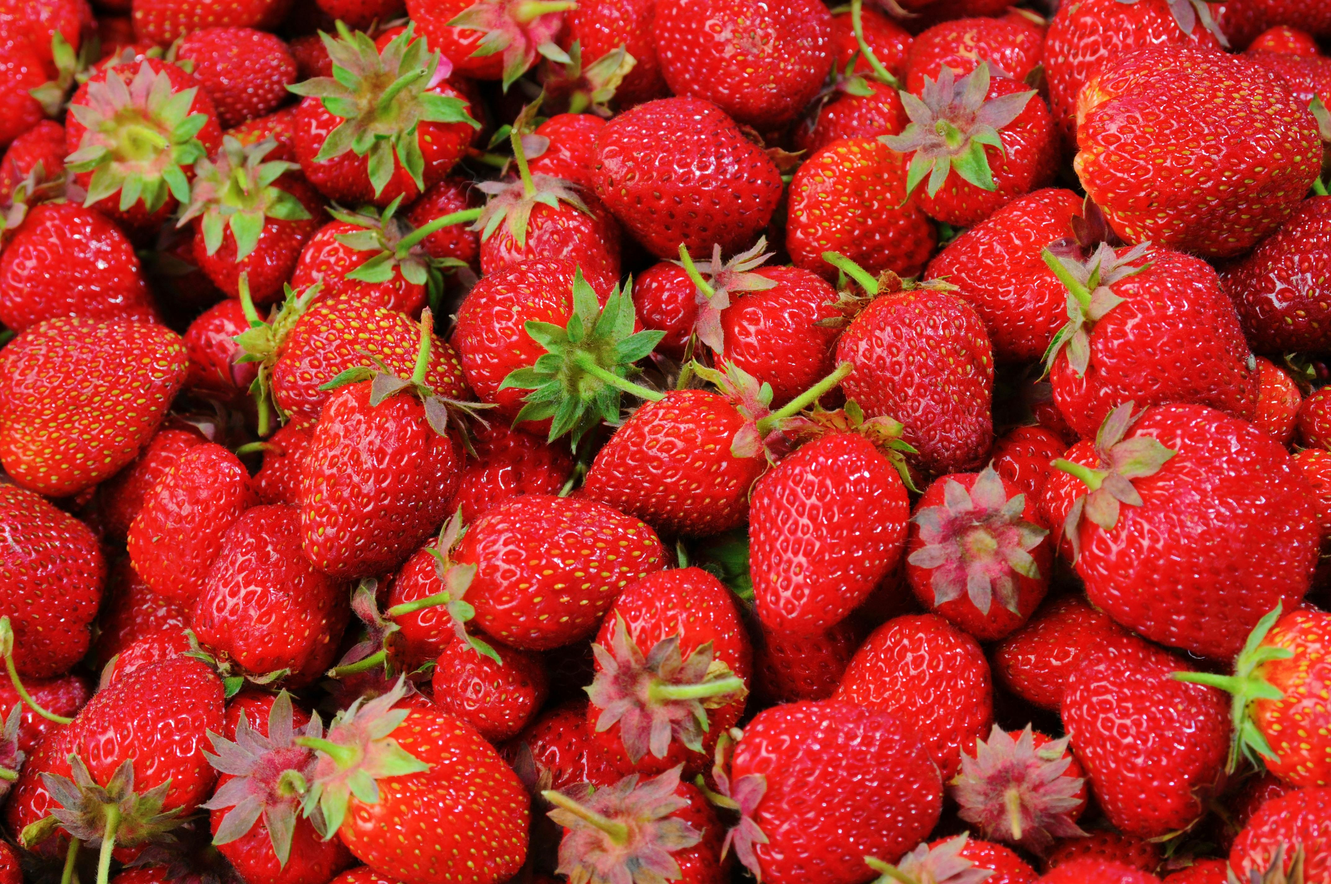 Strawberry wallpaper hires stock photography and images  Alamy