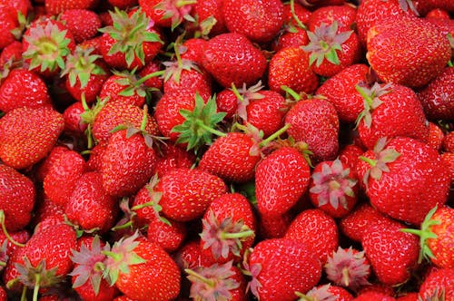 Free Strawberry Lot Stock Photo