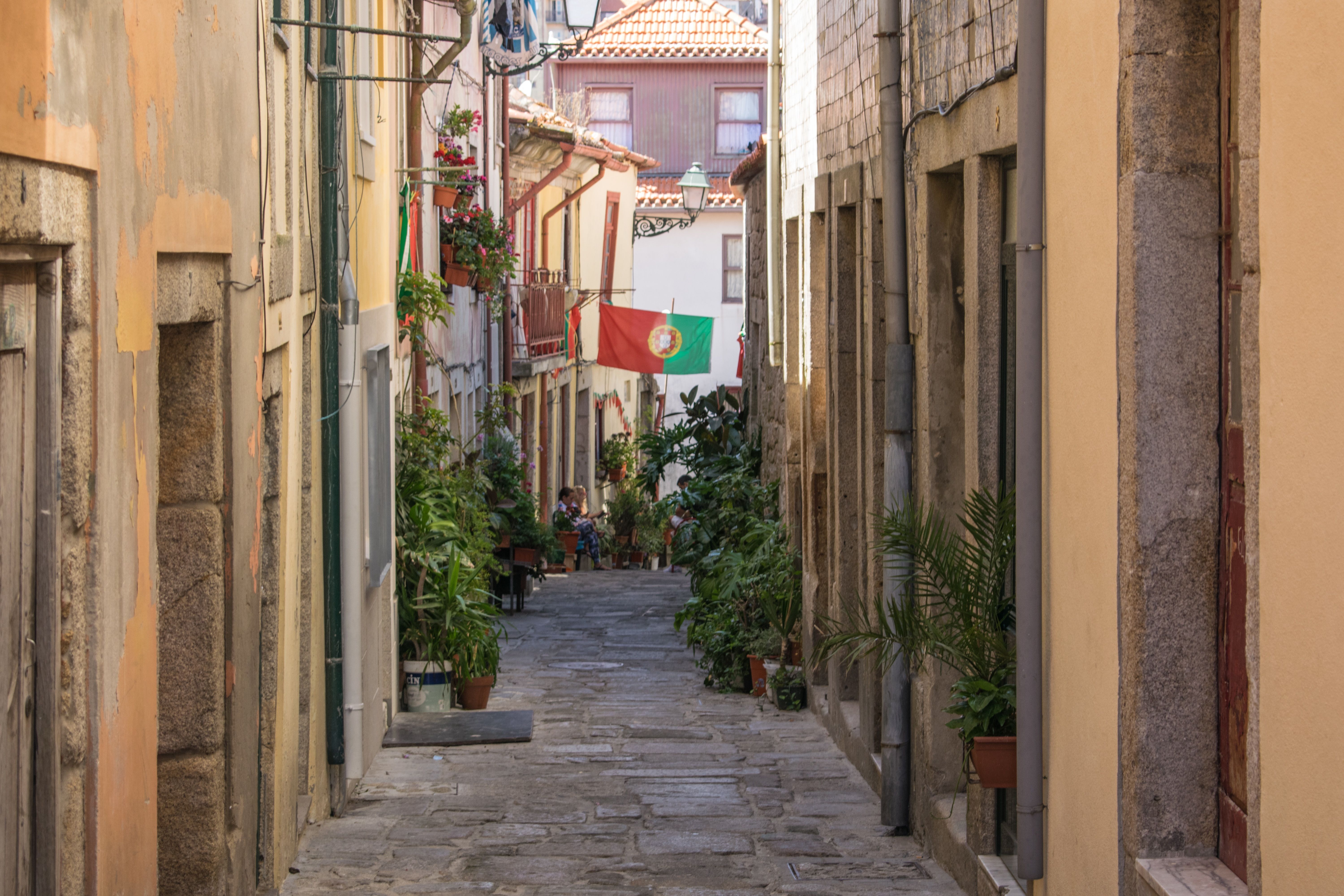 Credit: Pexels