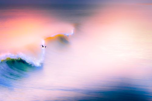 Free stock photo of dawn Stock Photo