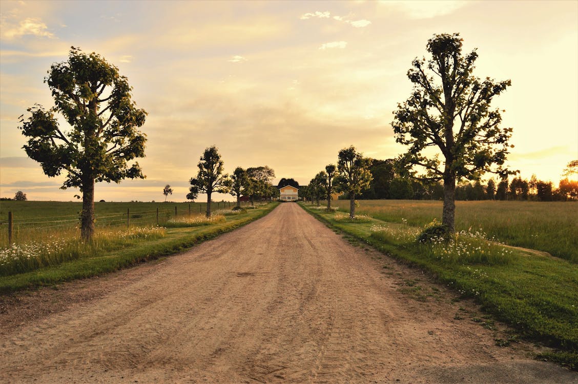 Základová fotografie zdarma na téma dům, hřiště, krajina