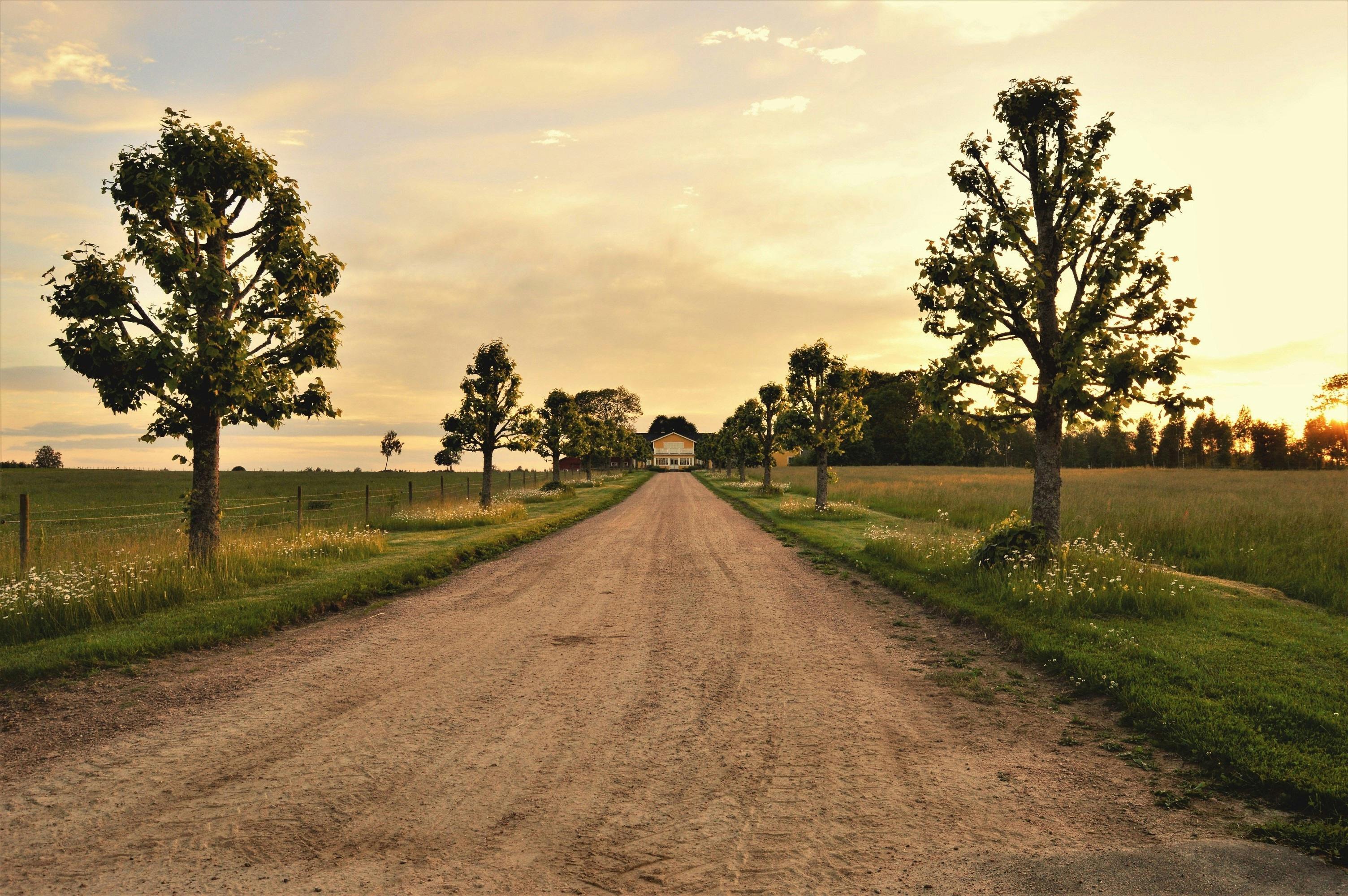 dirt roads wallpaper