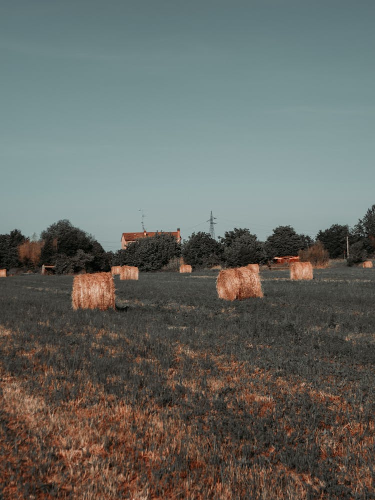 Haystacks In Rural Meadow At Sunset