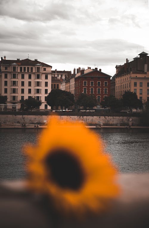 Fotobanka s bezplatnými fotkami na tému architektúra, breh, budova