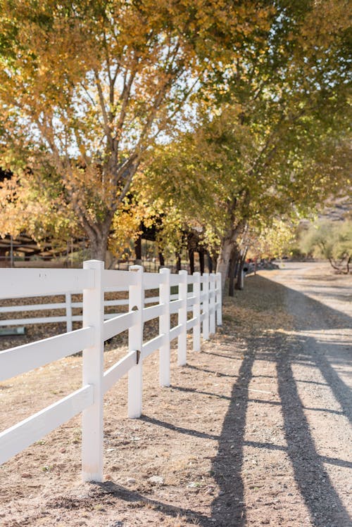 Free White Wooden Fence Near Trees Along The Road Stock Photo
