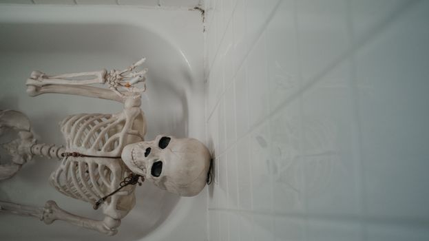 White Skeleton on White Ceramic Bathtub