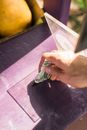 Person Holding 1 Us Dollar Bill