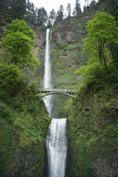 Multnomah