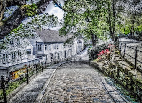 Free stock photo of city, road, landscape, nature