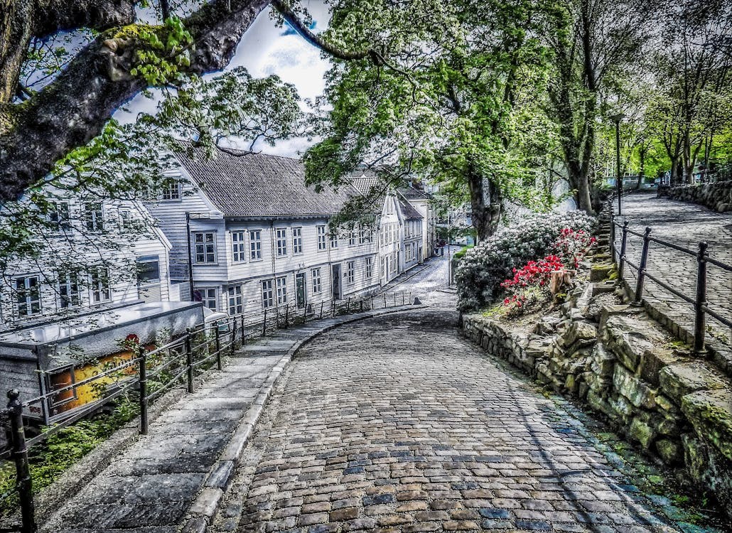 Winding Road Beside White Houses