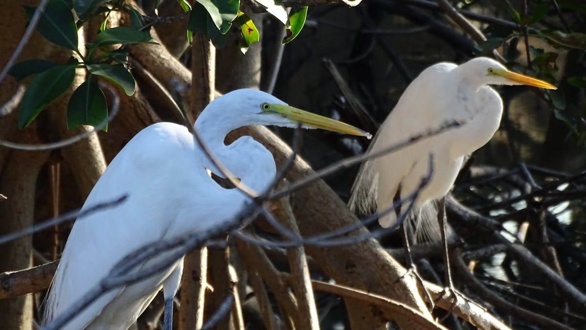 Why Some Systems Can't Be Tested Without Production